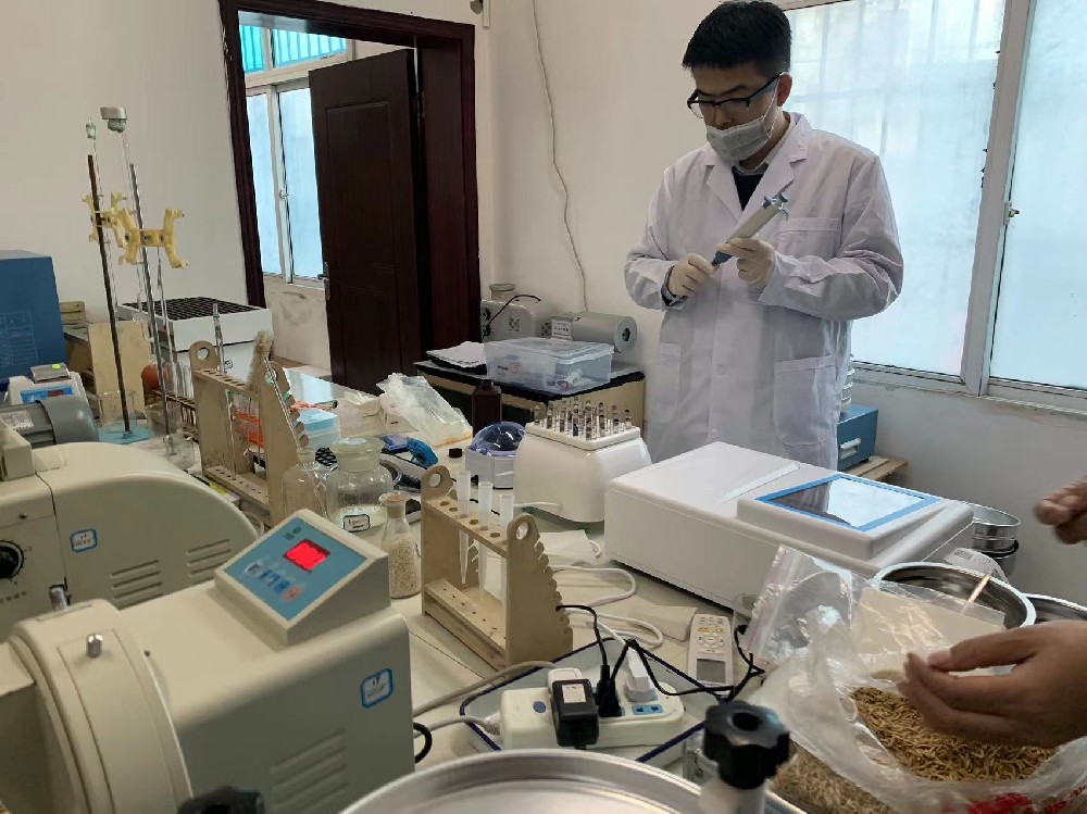 貴陽市開陽縣國家糧食儲(chǔ)備庫采購優(yōu)云譜稻谷新鮮度檢測儀