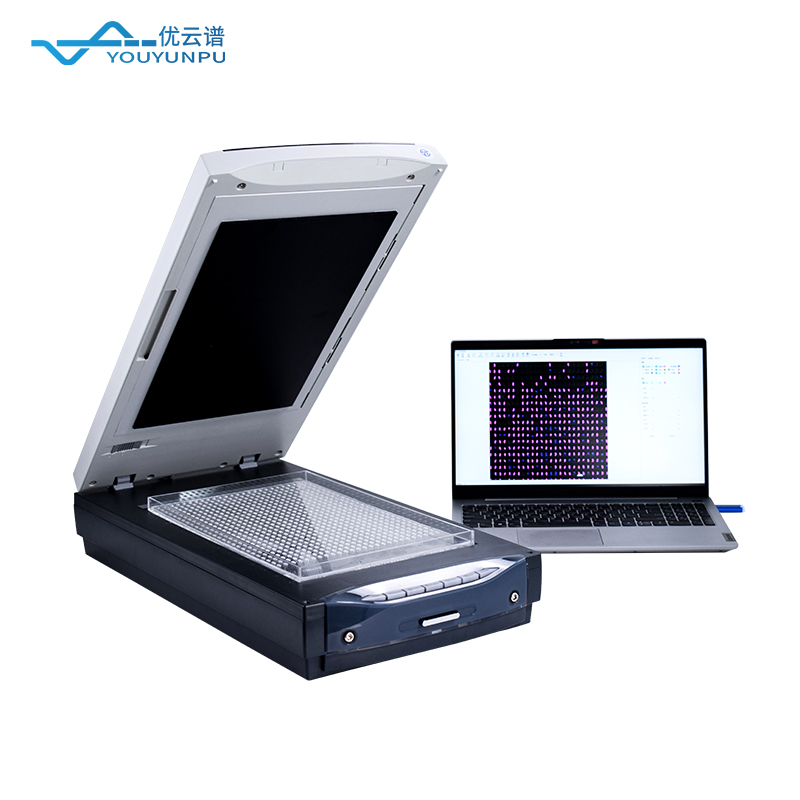 稻米品質(zhì)分析儀：科學(xué)評價稻米品質(zhì)的重要工具